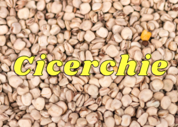 Cicerchie in pentola a pressione: scopri come cucinarle al meglioCicerchie in pentola a pressione