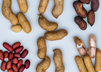 Carrube e arachidi in pentola a pressione: il connubio perfettoCarrube e arachidi in pentola a pressione