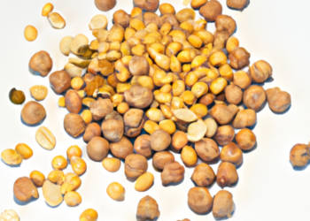 Ceci e arachidi in pentola a pressione: un mix di saporiCeci e arachidi in pentola a pressione