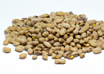 Come cucinare i fagioli nella pentola a pressione: guida completaFagioli in pentola a pressione