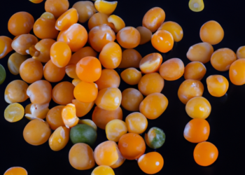 Cucinare legumi surgelati nella pentola a pressione: una soluzione praticaLegumi surgelati in pentola a pressione