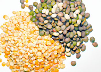 Fagioli e lenticchie: la combo perfetta nella pentola a pressioneFagioli e lenticchie in pentola a pressione