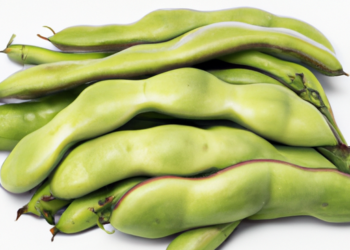 Fave fresche nella pentola a pressione: un piatto tradizionale rivisitatoFave fresche in pentola a pressione