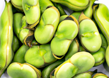 Fave in pentola a pressione: il metodo più rapidoFave in pentola a pressione