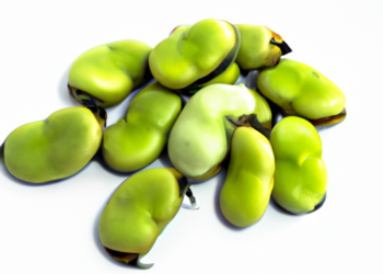 Fave in pentola a pressione: il sapore dell'estate in un piattoFave in pentola a pressione