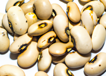 I segreti per cucinare fagioli secchi nella pentola a pressioneFagioli in pentola a pressione